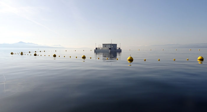 Die Plattform «LéXPLORE» auf dem Genfer See. (Foto: Natacha Pasche)